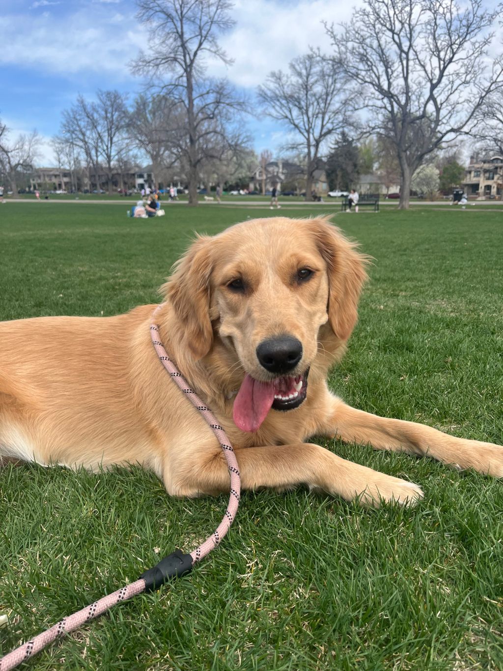 Denver Winter Is Basically Spring Right Now! Actual Things You Can Go Do This&nbsp;Weekend!